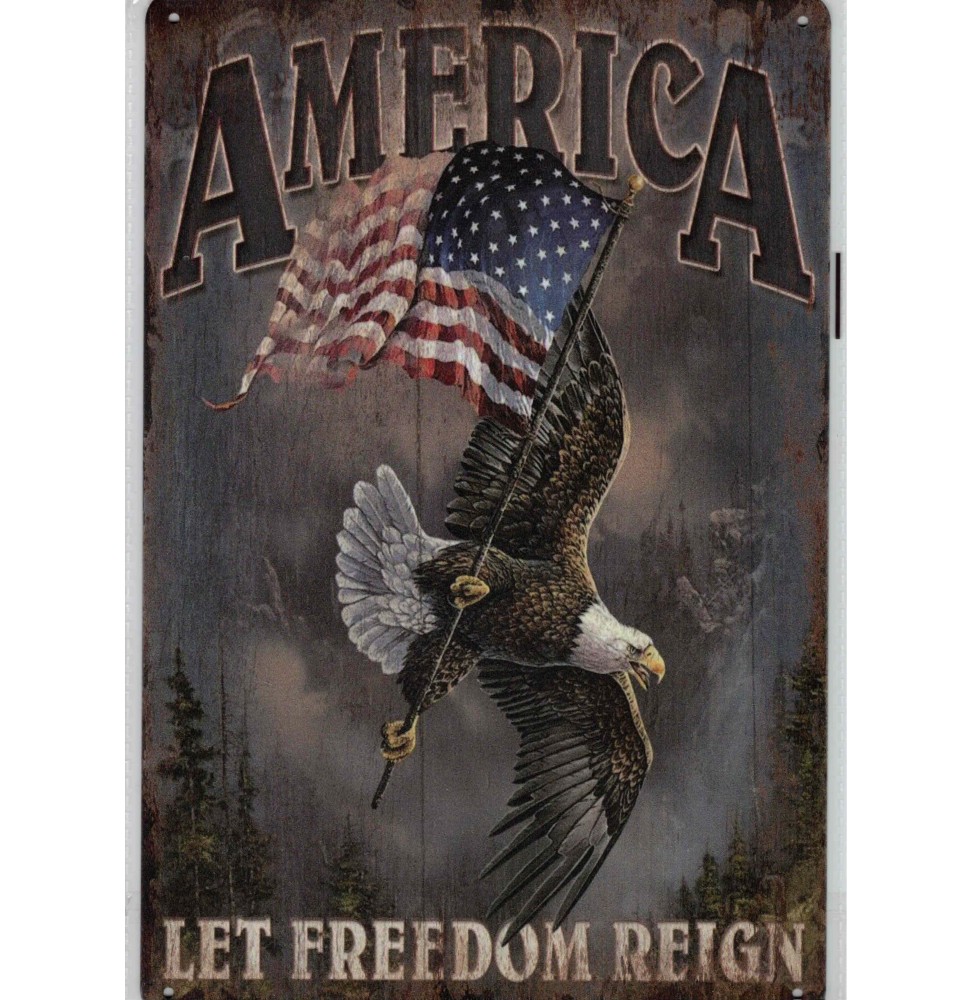 Plaque métal décorative America aigle drapeau 20cm x 30cm