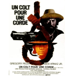 copy of DVD GUN