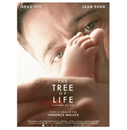 DVD THE TREE OF LIFE